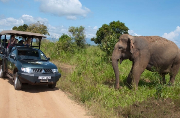 Sri Lanka Tourism Development Authority Launches Initiative To Train 4000 Safari Operators Country-wide