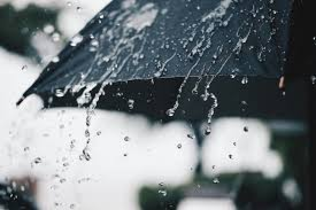 Heavy Showers Forecasted Across Multiple Provinces