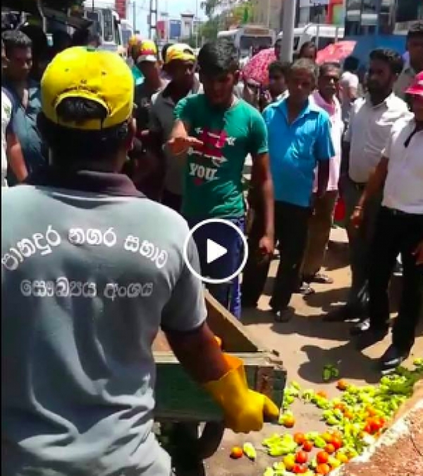 Panadura Municipal Council Uses Stong-Arm Tactics On Youth Selling Vegetables On Street: Upturns Cart