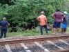 Train hits Hand tractor:One dead, another injured